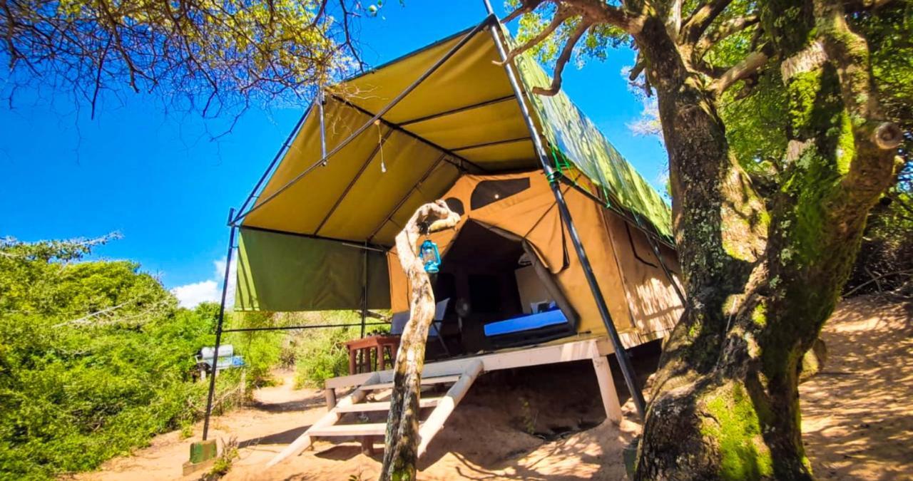 Back Of Beyond Dune Camp Yala Exterior foto