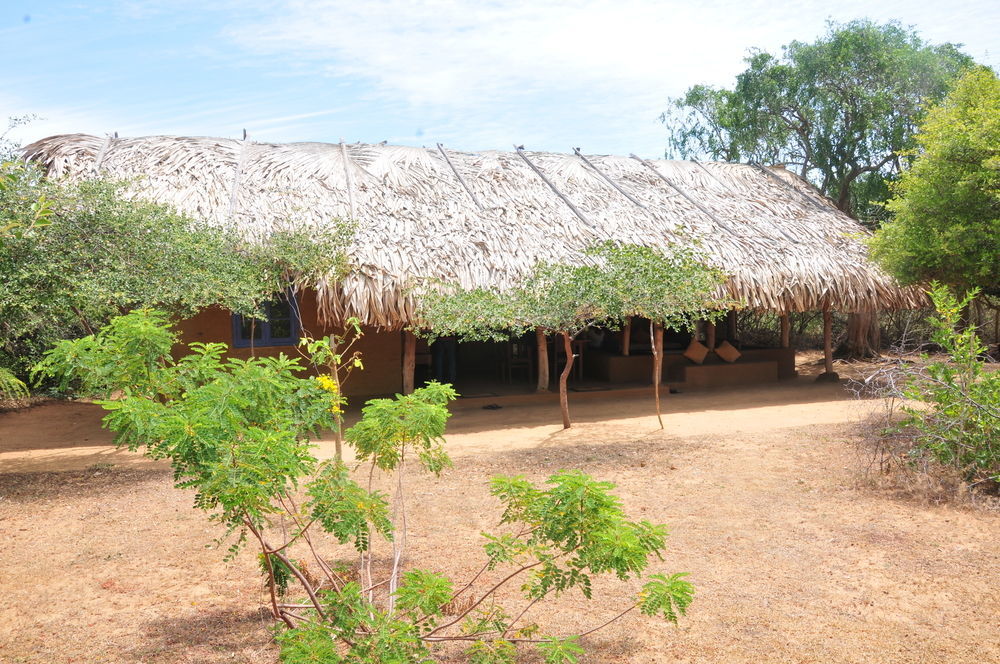 Back Of Beyond Dune Camp Yala Exterior foto