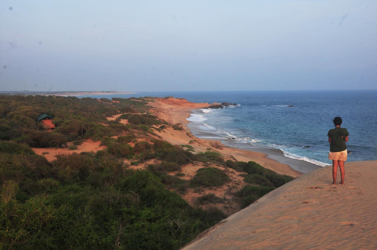 Back Of Beyond Dune Camp Yala Exterior foto