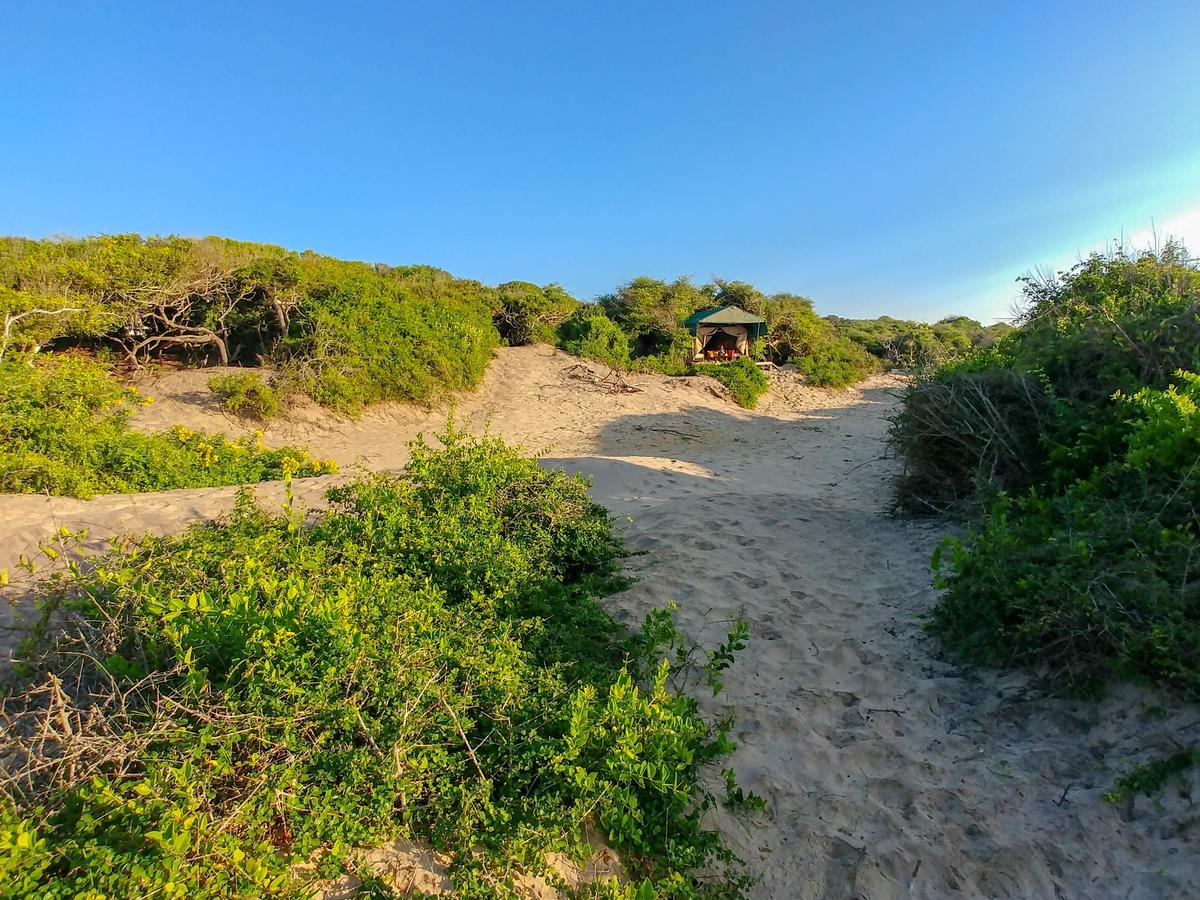 Back Of Beyond Dune Camp Yala Exterior foto