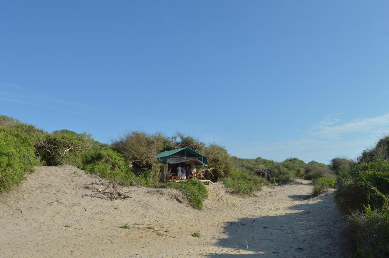 Back Of Beyond Dune Camp Yala Exterior foto